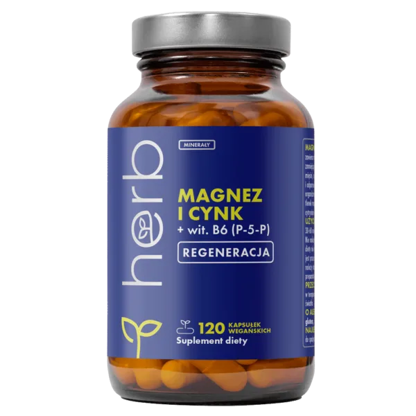 Magnez i Cynk + wit. B6 (P-5-P) - 120 vege kaps.