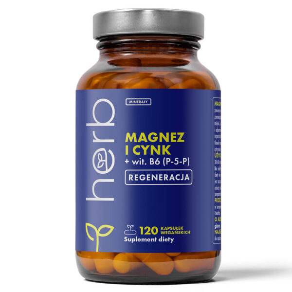 Magnez i Cynk + wit. B6 (P-5-P) - 120 vege kaps.